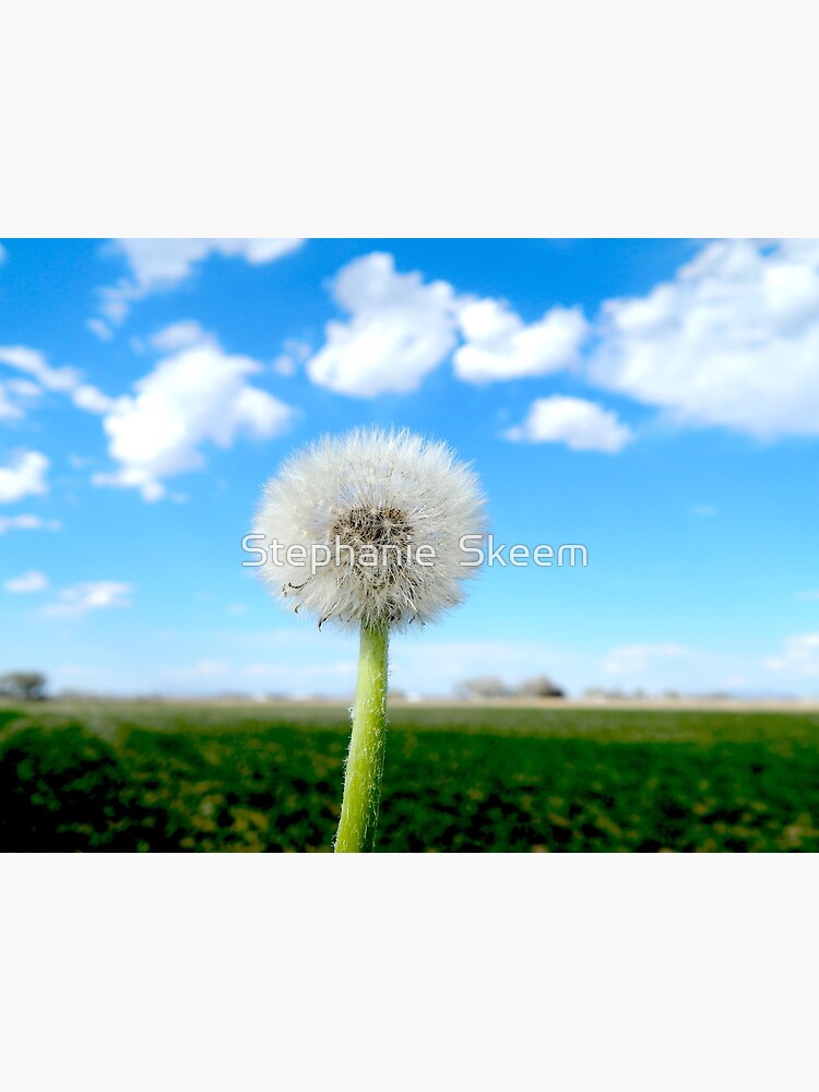 white Quilled flowers  Poster for Sale by Stephanie Skeem