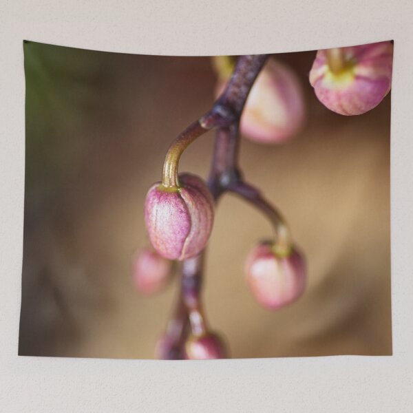 Item preview, Orchid Buds designed and sold by Joy Watson - Natural Light Photography .