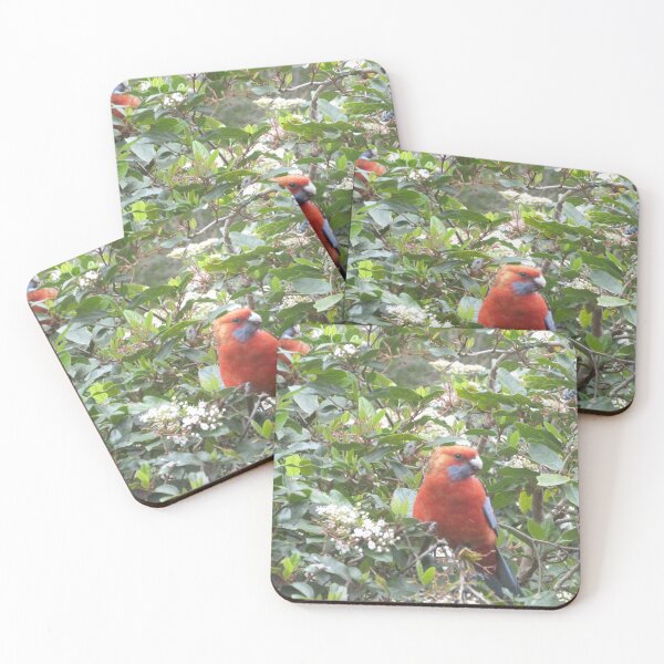 Item preview, Pair of Australian Native Mature Rosellas outside our window.  designed and sold by RitaBlom.