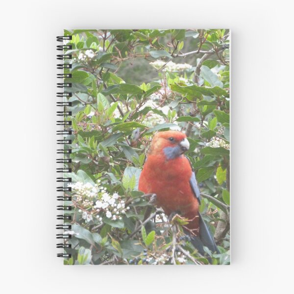 Item preview, Pair of Australian Native Mature Rosellas outside our window.  designed and sold by RitaBlom.