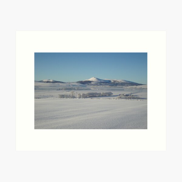 Item preview, The Deep Freeze designed and sold by R John Hughes.