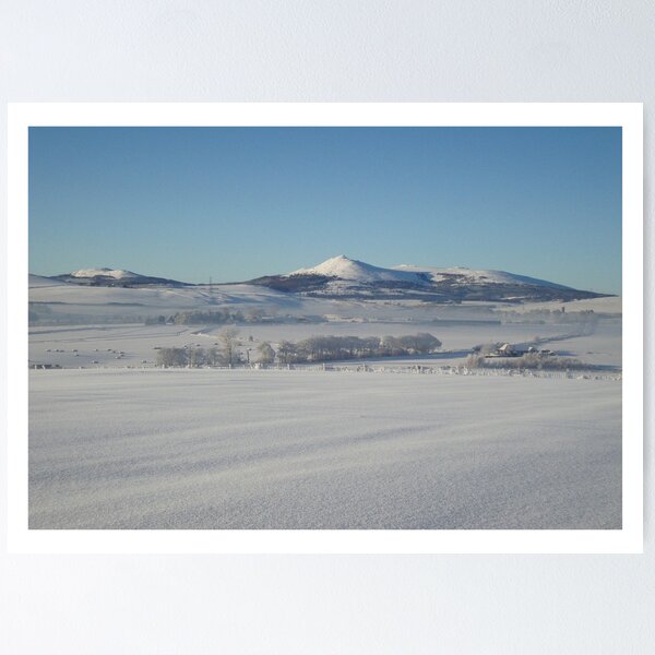 Item preview, The Deep Freeze designed and sold by R John Hughes.
