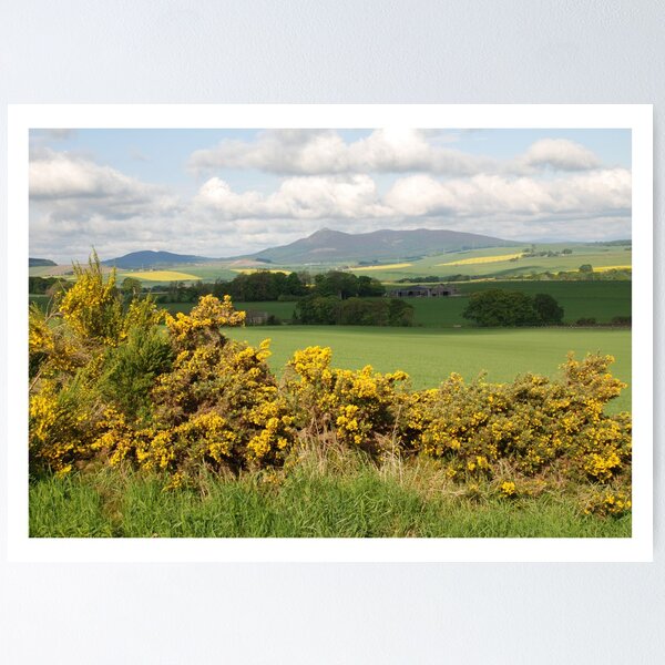 Item preview, The Bloomin Yellow Month Of May designed and sold by R John Hughes.