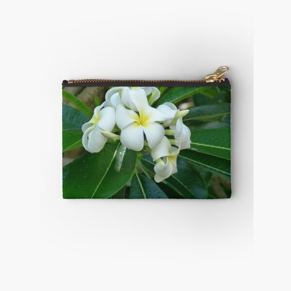 Artikelvorschau, Duftender Frangipani entworfen und verkauft von Lola P.