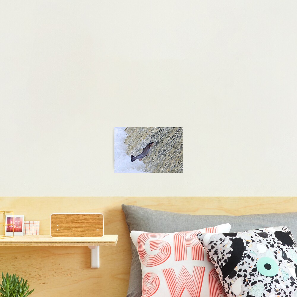 Leap of Faith Photographic Print