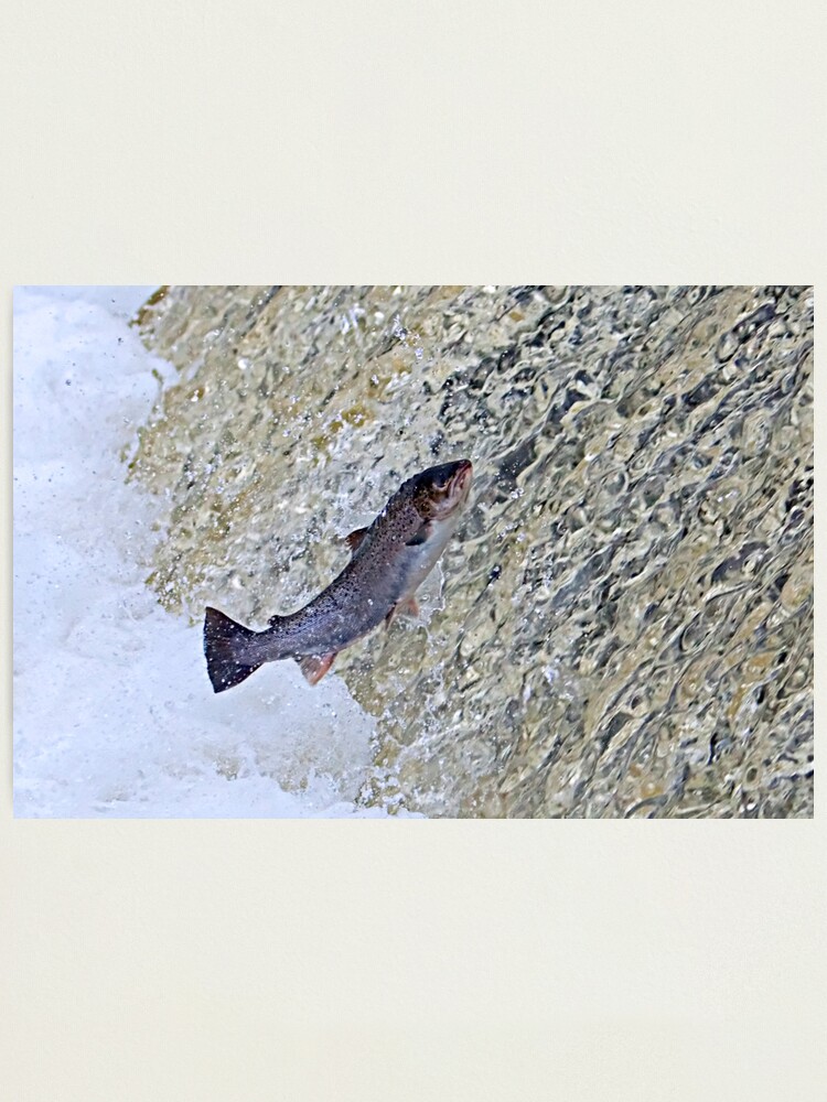 Alternate view of Leap of Faith Photographic Print