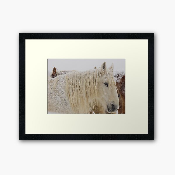 Knight of Dreams First Snow Framed Art Print