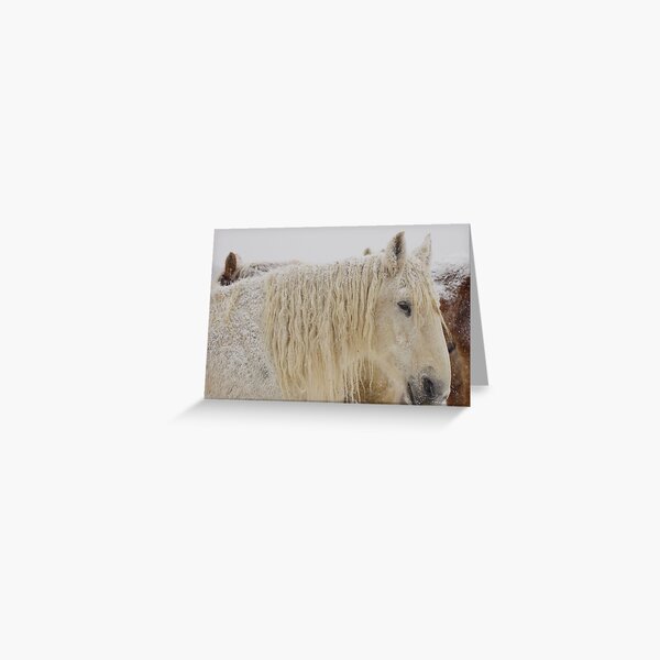 Knight of Dreams First Snow Greeting Card