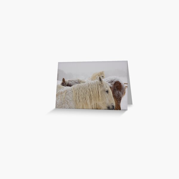 First Snow Greeting Card