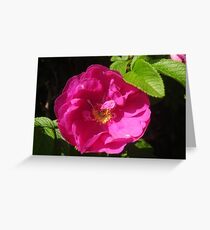 Rosehip Flower Greeting Card
