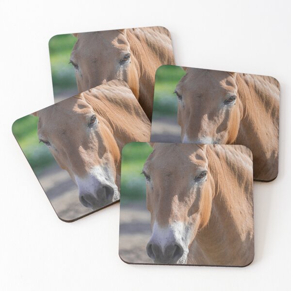 Item preview, Przewalski horse head portrait designed and sold by Martin Leber.