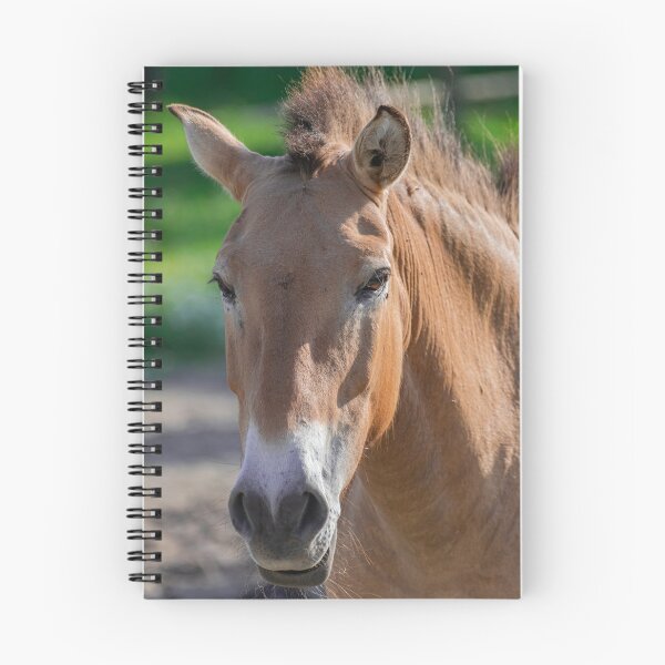 Item preview, Przewalski horse head portrait designed and sold by Martin Leber.