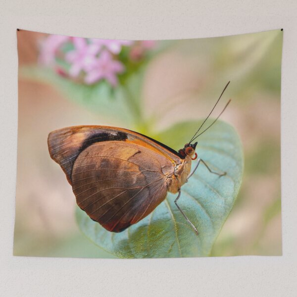Item preview, Shiny brown beauty designed and sold by JBlaminsky.