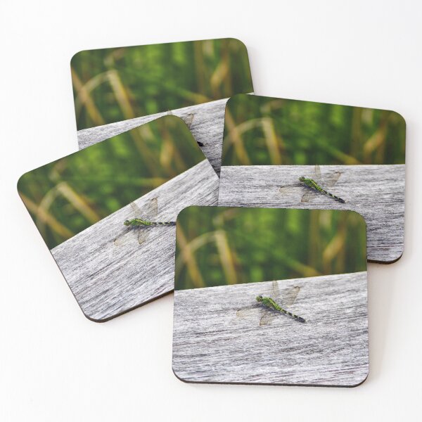 Item preview, Dragonfly Pose designed and sold by SRosuphotos.