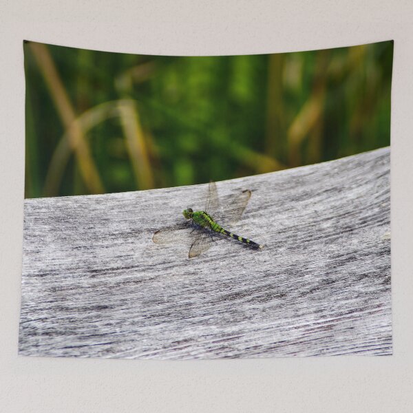 Item preview, Dragonfly Pose designed and sold by SRosuphotos.