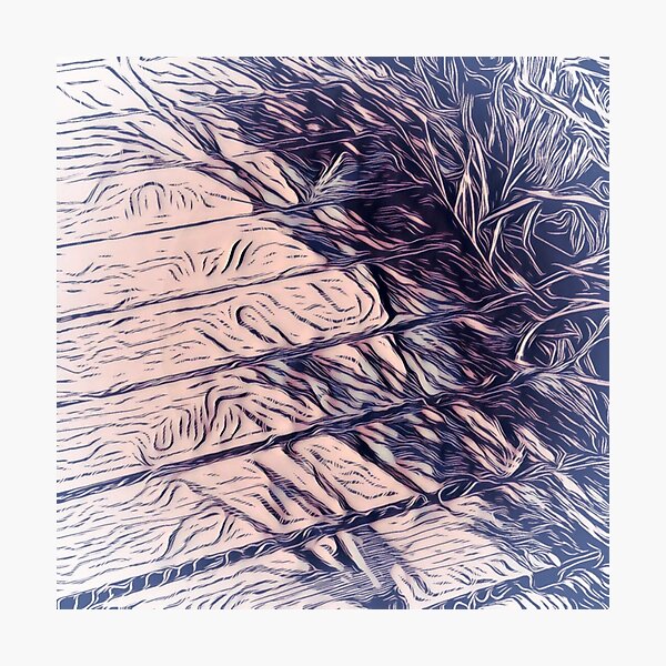 Photographic Print