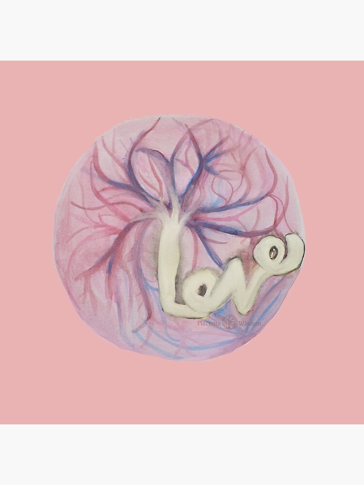 Placenta Love by placentawisdom
