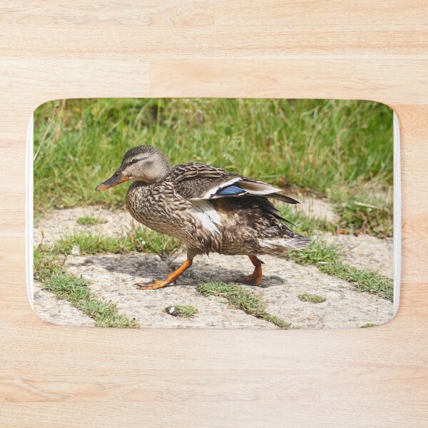 Item preview, Mallard duck designed and sold by GreyFeatherPhot.