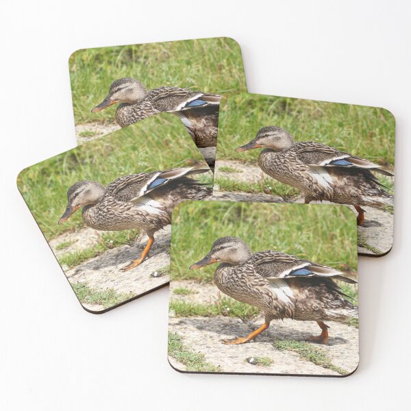 Item preview, Mallard duck designed and sold by GreyFeatherPhot.