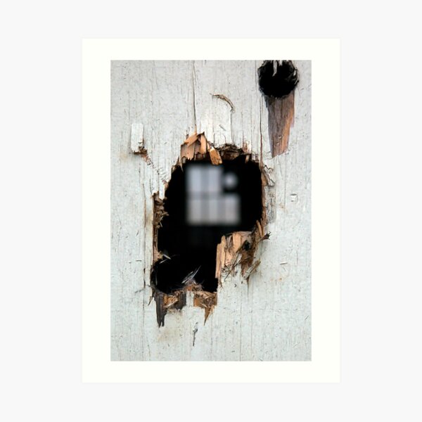 Dereliction Art Print
