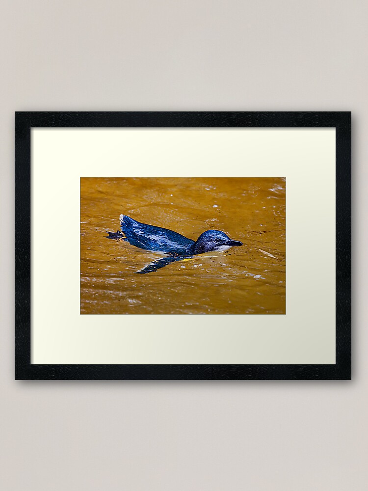 Alternate view of Fairy Penguin Framed Art Print