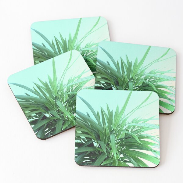 Item preview, Areca Palm designed and sold by SexyEyes69.