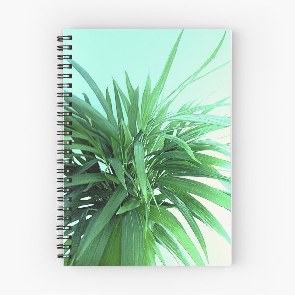 Item preview, Areca Palm designed and sold by SexyEyes69.