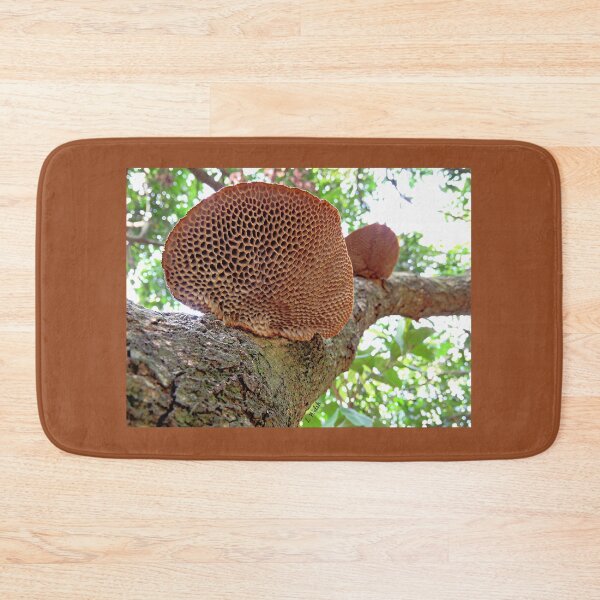 Item preview, Hairy Hexagonia Fungi designed and sold by Linda Walsh.