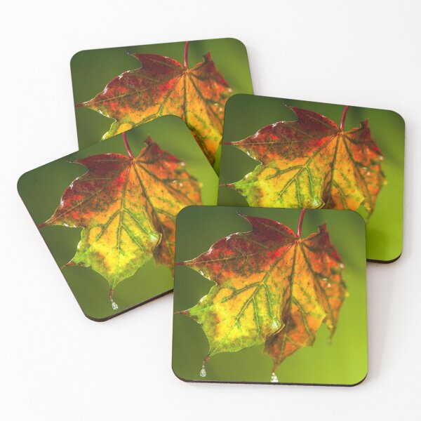 Item preview, Sugar Coated Autumn Maple Leaf designed and sold by FOLK ART FUSION by heidiannemorris.