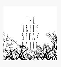 The trees speak latin Photographic Print
