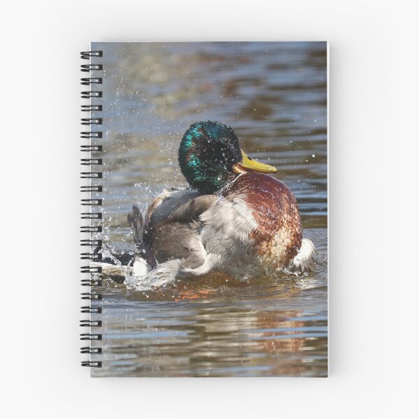 Item preview, Bathing mallard designed and sold by GreyFeatherPhot.