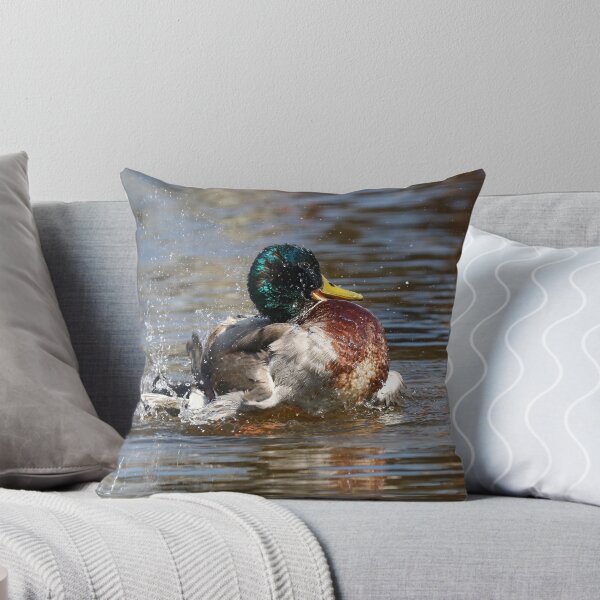Item preview, Bathing mallard designed and sold by GreyFeatherPhot.