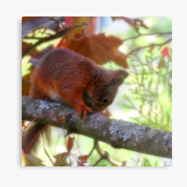 Hold On Tight Metal Print