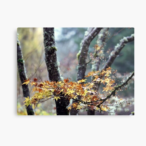Autumn in Japan Metal Print
