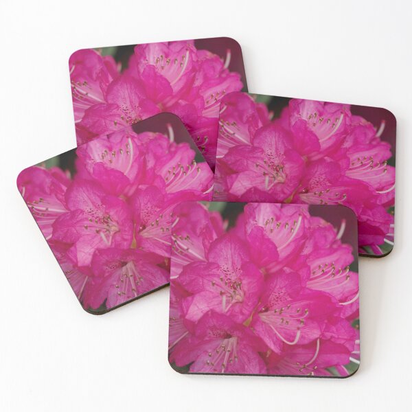 Item preview, Rhododendron - Sir Robert Peel designed and sold by imaginethis.