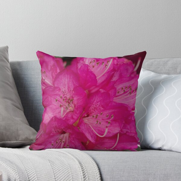 Item preview, Rhododendron - Sir Robert Peel designed and sold by imaginethis.