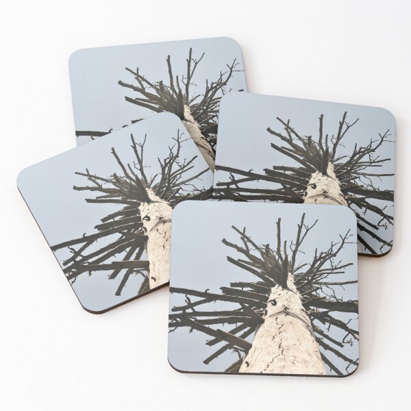 Item preview, Burnt Tree 1 designed and sold by Sonja Martin Photography.