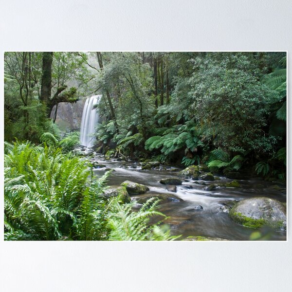 Item preview, Waterfall, Otway Ranges, Victoria designed and sold by John Donkin.