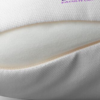 Alternate view of BWFC Throw Pillow