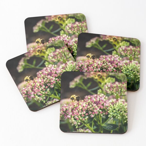 Item preview, Bees On Sedum (Stonecrop) Flowers In The Garden designed and sold by Robert Alsop.