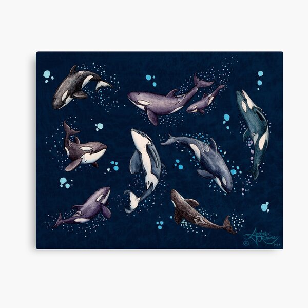 "Orca Pod in Watercolor" by Amber Marine, (Navy Blue Version) Killer Whale Art, © 2019 Canvas Print