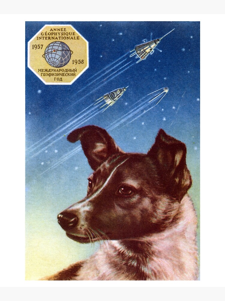 1958 Laika, First Dog in Space by historicimage