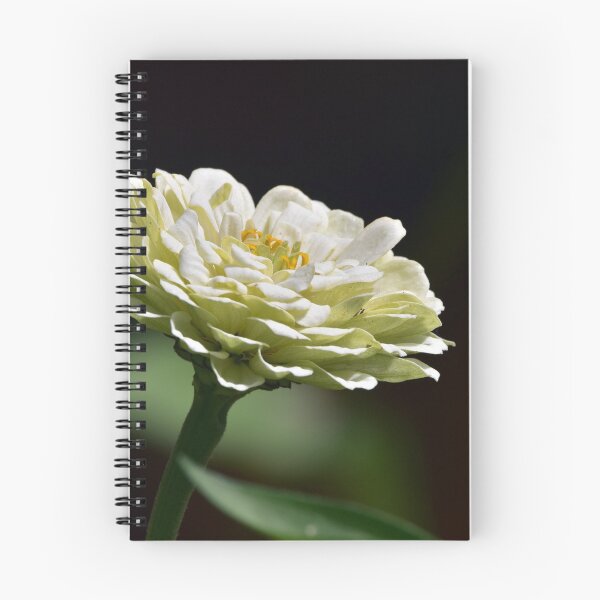 Item preview, White Zinnia designed and sold by Maureen Zaharie.
