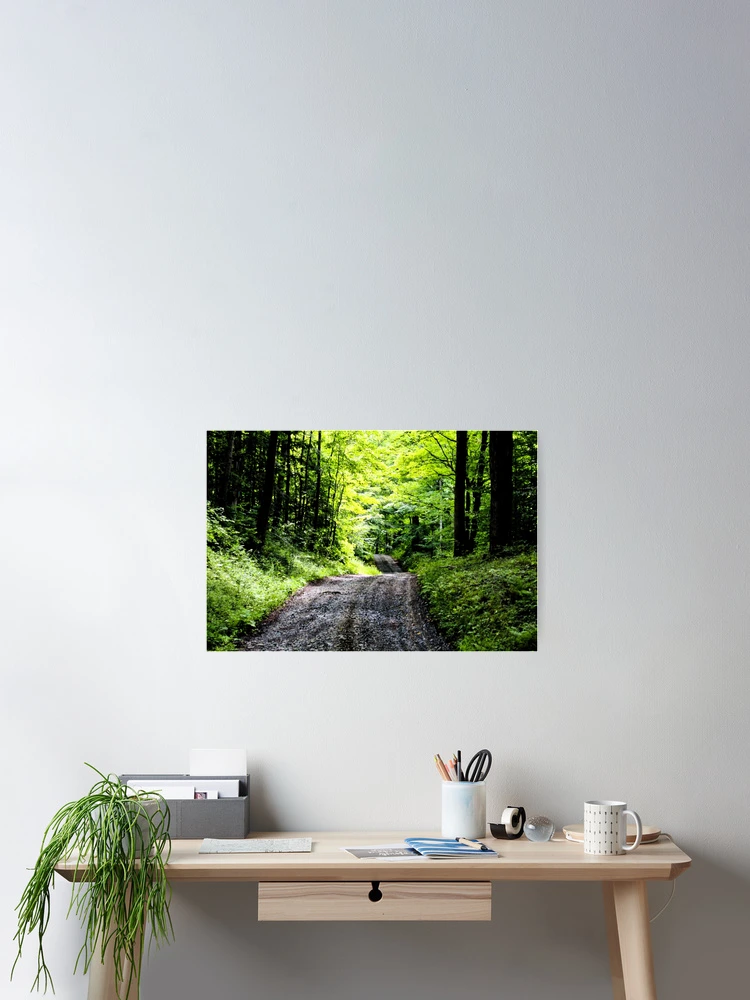 Thumbnail 2 of 3, Poster, Forest Rd designed and sold by dave-settle.