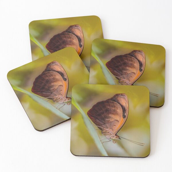 Item preview, Amber Butterfly designed and sold by JBlaminsky.