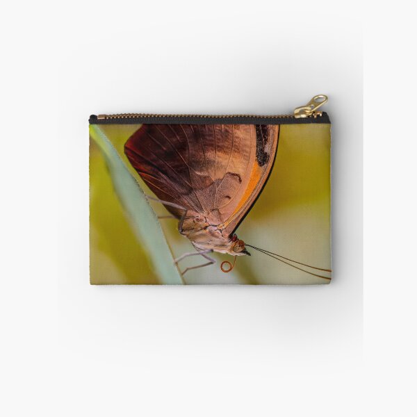 Item preview, Amber Butterfly designed and sold by JBlaminsky.