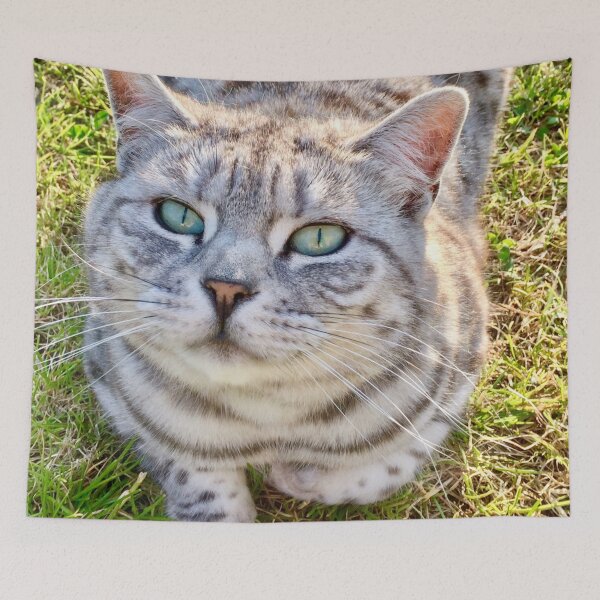 Item preview, Daisy-kin’s wearing her    “I Love You Face” designed and sold by Angela Haig-Harrison.