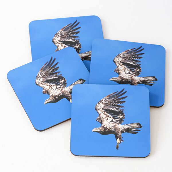 Item preview, Juvenile Bald Eagle Take Off designed and sold by Deb Oppermann.