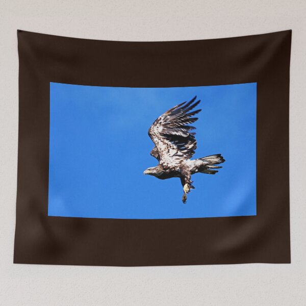 Item preview, Juvenile Bald Eagle Take Off designed and sold by Deb Oppermann.