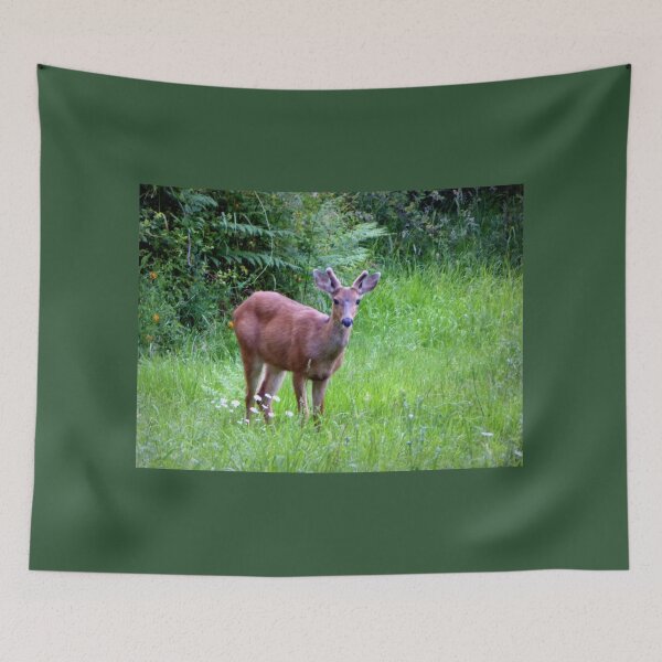 Item preview, A YOUNG BUCK designed and sold by Elaine Bawden.